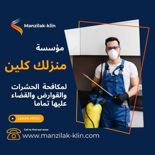  شركة مكافحة حشرات في الدمام 